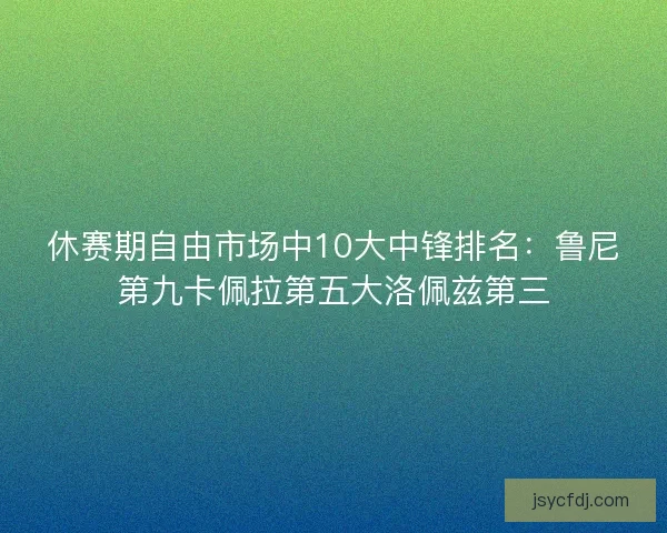 休赛期自由市场中10大中锋排名：鲁尼第九卡佩拉第五大洛佩兹第三
